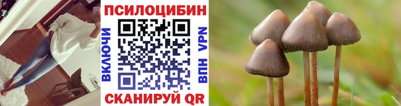 Галлюциногенные грибы Psilocybe Купить Льгов